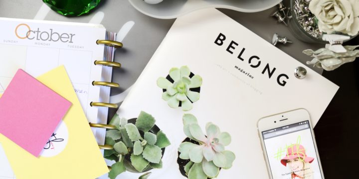 Create content that connects and collects